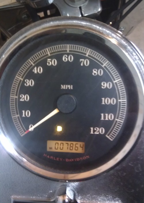 speedo.jpg