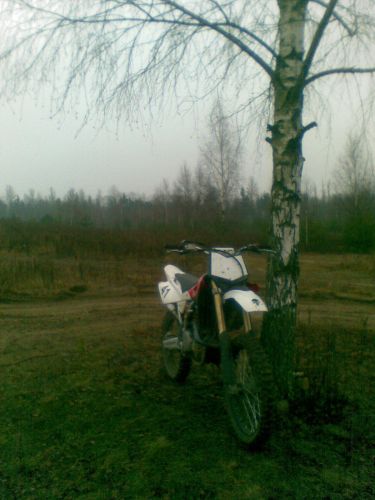 berza.jpg