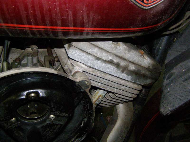 P1013094.JPG